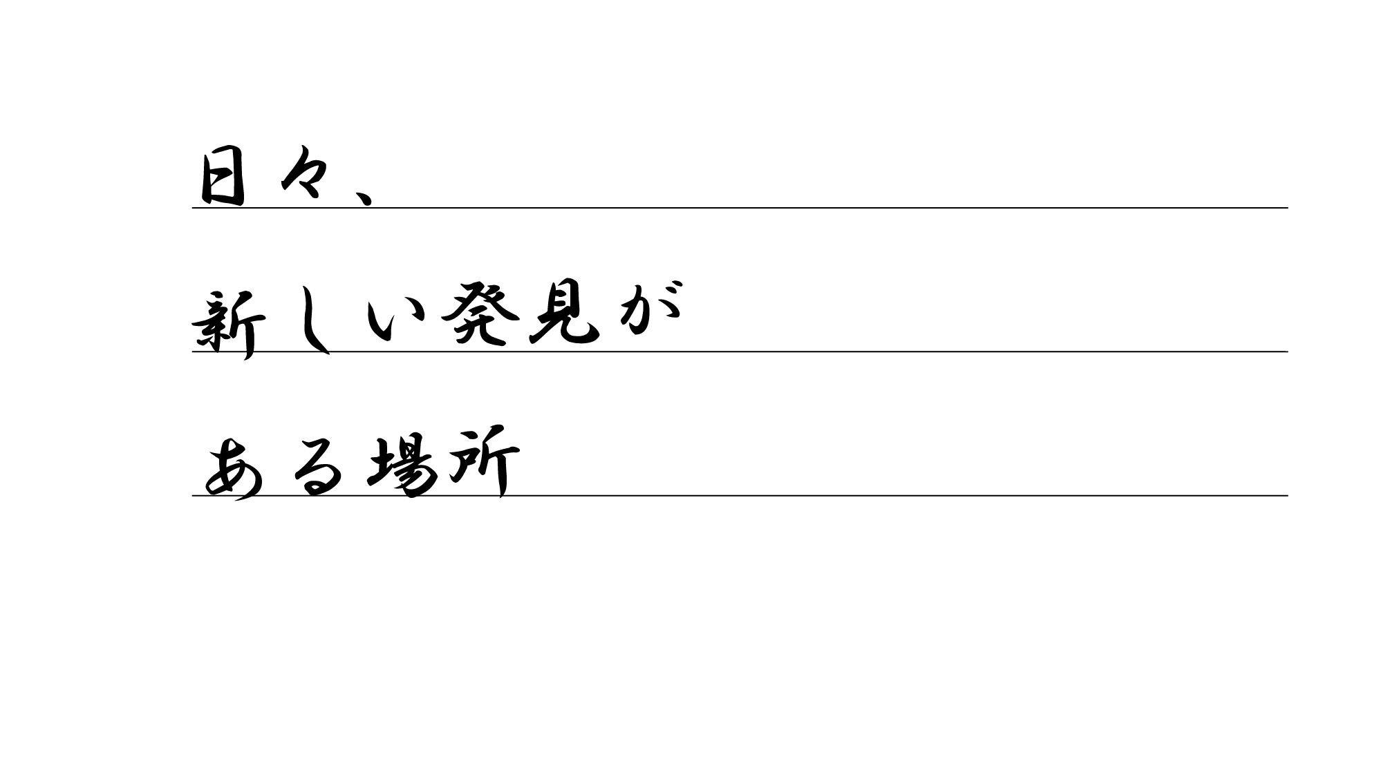 日々、新しい発見がある場所